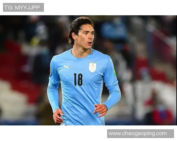 努涅斯在足球赛场的崛起与挑战解析,展望未来发展潜力与职业生涯轨迹 努涅斯在足球赛场的崛起与挑战解析,展望未来发展潜力与职业生涯轨迹