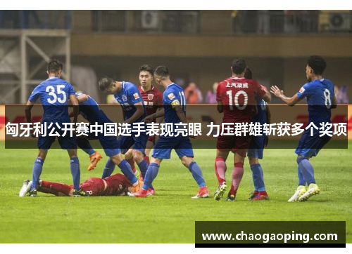 匈牙利公开赛中国选手表现亮眼 力压群雄斩获多个奖项