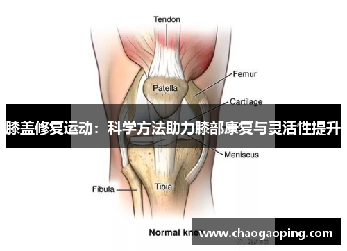 膝盖修复运动：科学方法助力膝部康复与灵活性提升