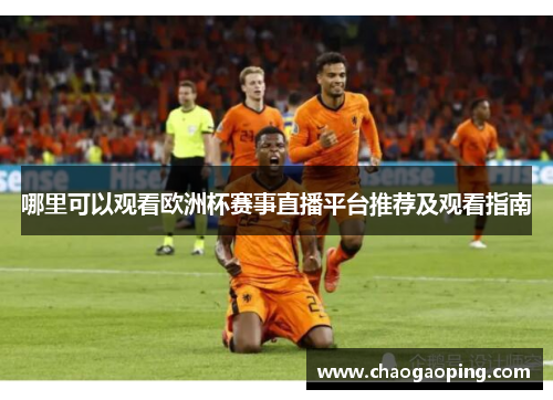 哪里可以观看欧洲杯赛事直播平台推荐及观看指南